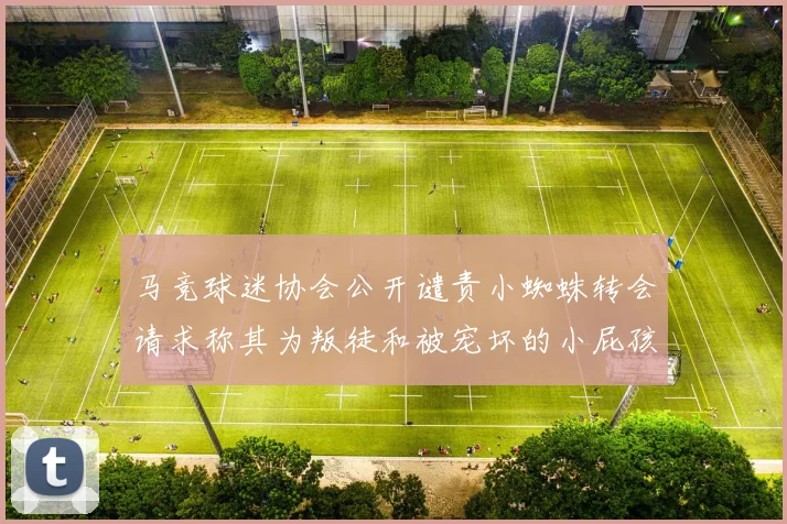 马竞球迷协会公开谴责小蜘蛛转会请求称其为叛徒和被宠坏的小屁孩